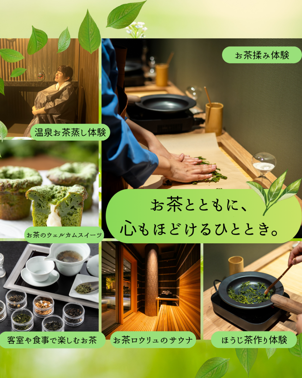 大人気！お茶に関する体験・サービス