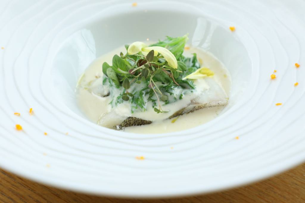 鱈とわさび菜のクリーム煮～佐賀みかん、マイクロハーブ～
