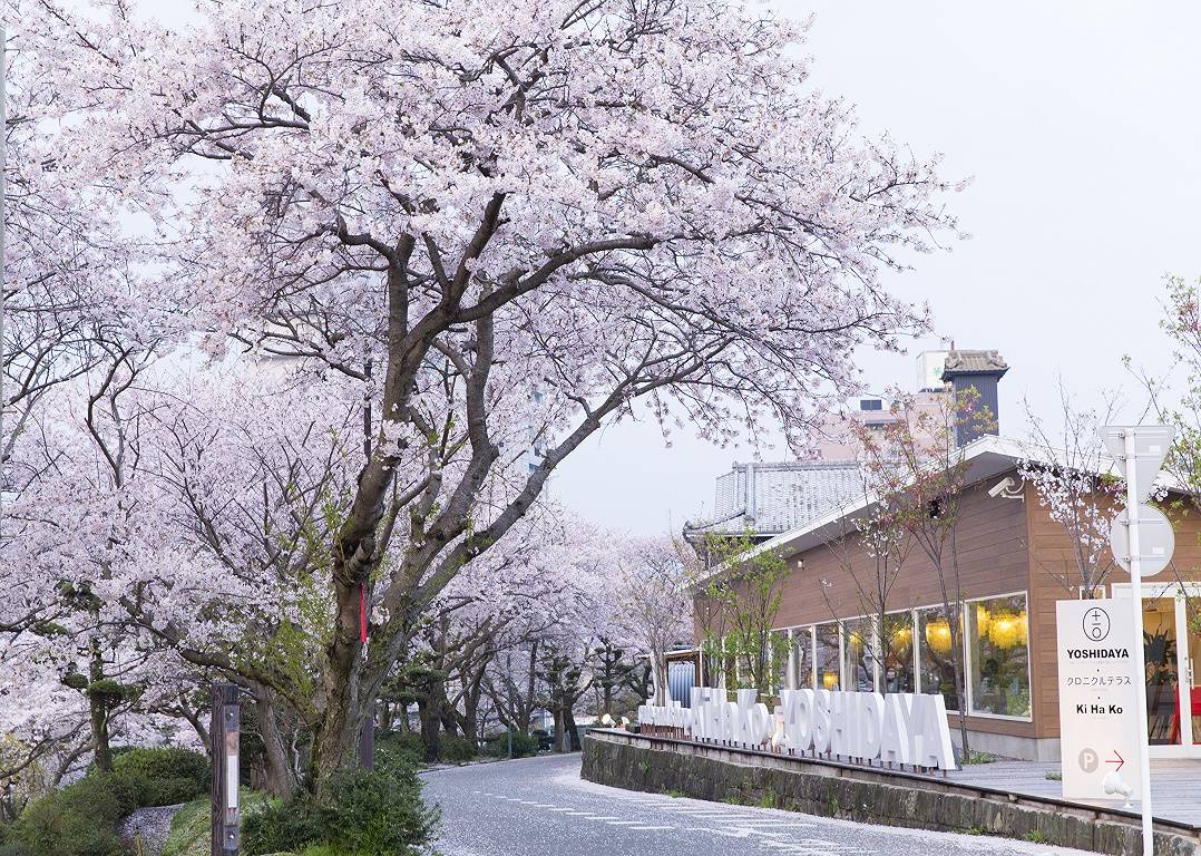 3月10日･11日 休館日のお知らせ